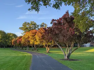 Oregon Park West
