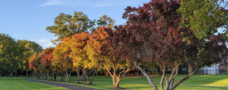 Oregon Park West