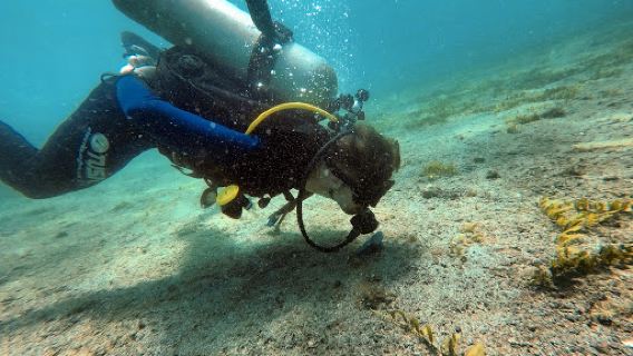 TamaDive Tamarindo - Diving Center