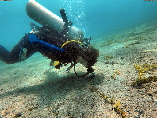 TamaDive Tamarindo - Diving Center