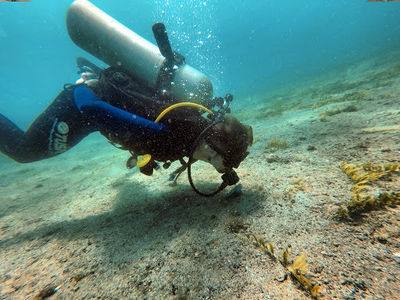 TamaDive Tamarindo - Diving Center