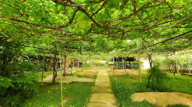 Cozy Leisure Farm (Bertam Valley)