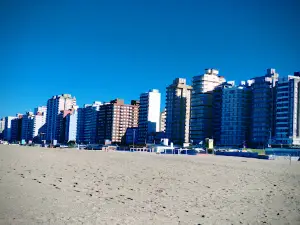 Plaza Miramar