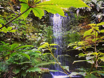 Koropuku Falls