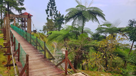 Bukit Larut