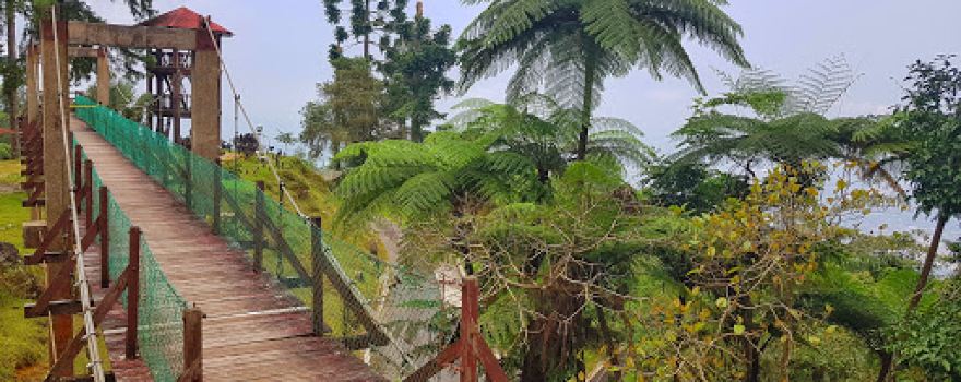 Bukit Larut