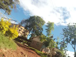 Muranga Water & Sanitation Co Ltd