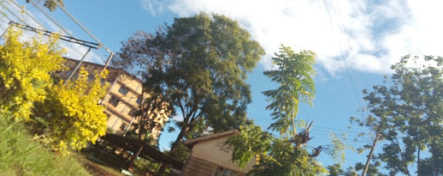 Muranga Water & Sanitation Co Ltd