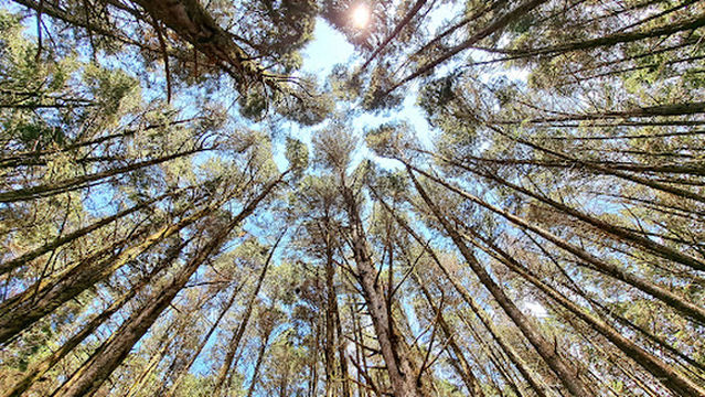 Laguna de Fraijanes Recreational Park