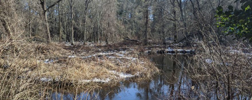 Shoolman Nature Preserve