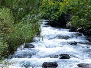 Balsapamba Water Park