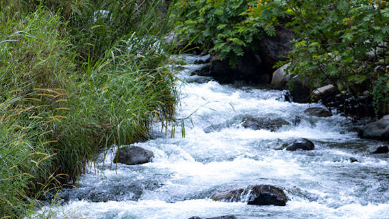 Balsapamba Water Park
