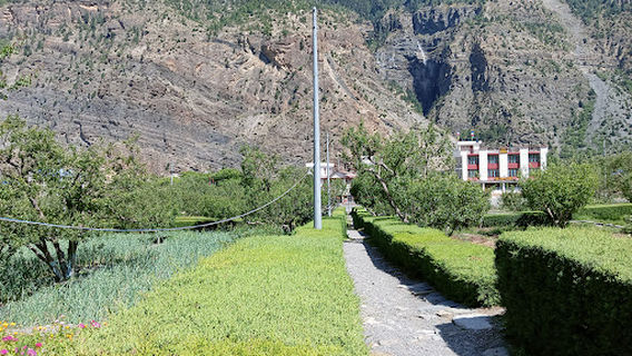 마르파 사과 농장