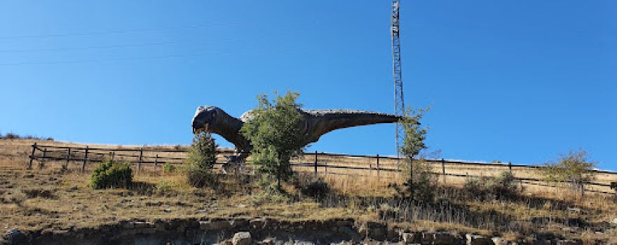 Yacimiento La Pellejera