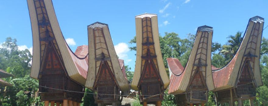 Tongkonan Bontong