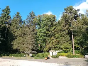 Of Fiuggi Terme Spa & Golf S.R.L.