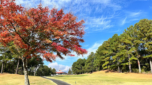 Accordia Beppu Mori Golf Club