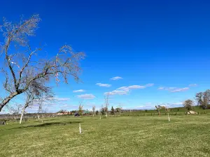 Dinsdale Park