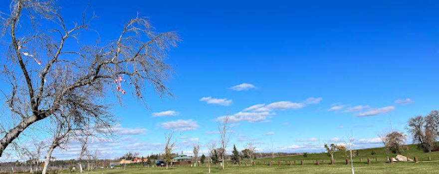 Dinsdale Park