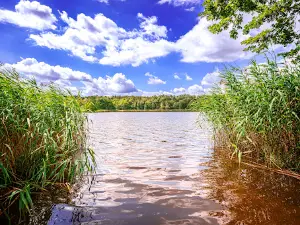 Naturcamping Brettmühlenteich e.G.
