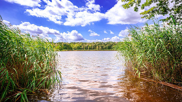 Naturcamping Brettmühlenteich - Campingplatz & Bungalows Dresden