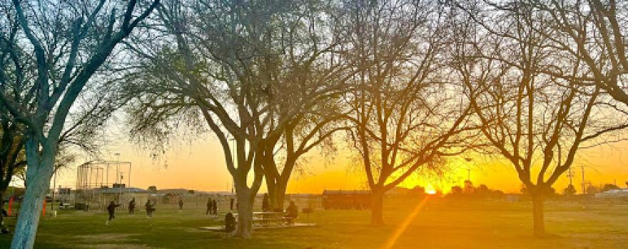 Rosamond Park