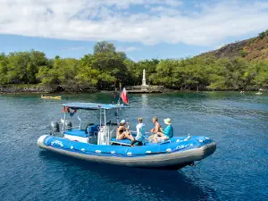 Kona Snorkel Trips