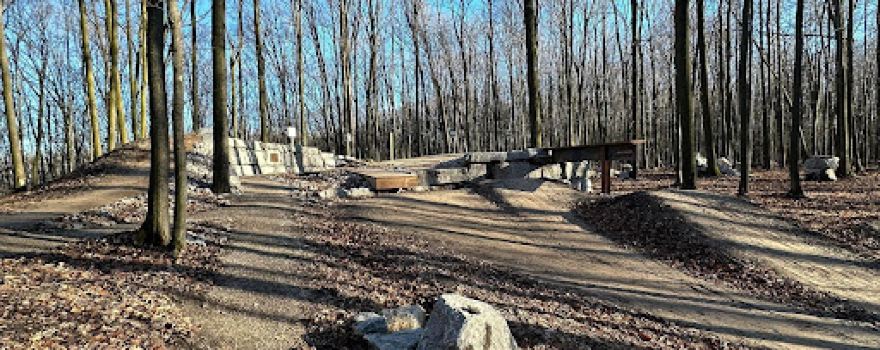 Boyne Forest Trail