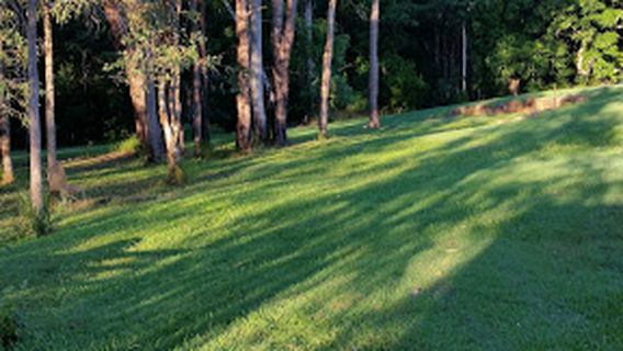 Johns Landing Camping Ground