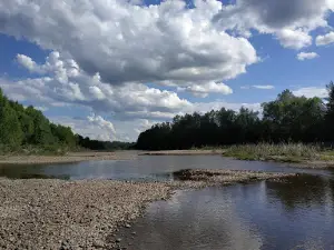 Reka Bureya