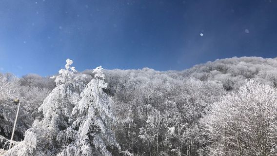 Cataloochee Ski Area