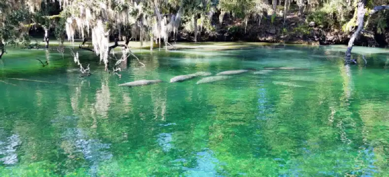 Econo Lodge properties in Volusia County