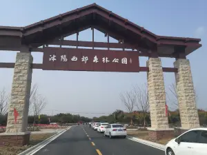 Shuyang West Suburb Forest Park
