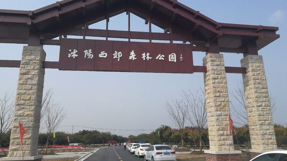 Shuyang West Suburb Forest Park