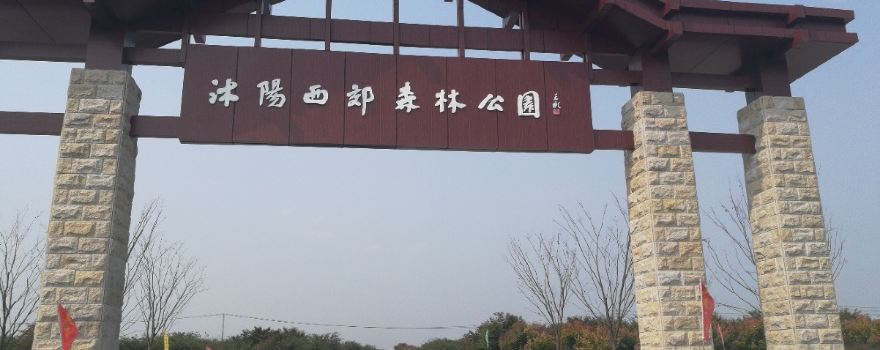 Shuyang West Suburb Forest Park