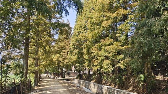 jun fu shan sen lin gong yuan