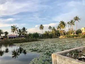 Sri Agnieeswarar Temple, Thirukollikadu Shiva Temple