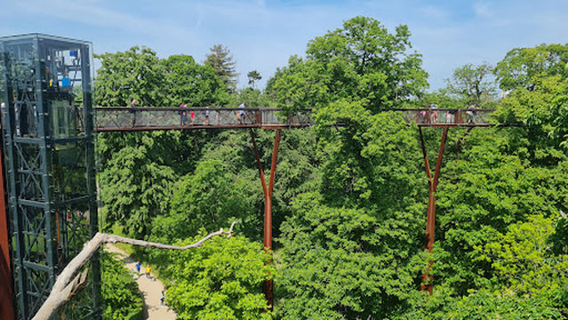 Treetop Walkway
