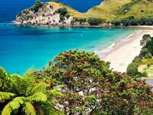 Hahei Beach