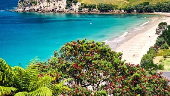 Hahei Beach