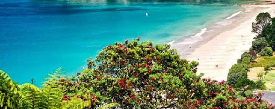 Hahei Beach