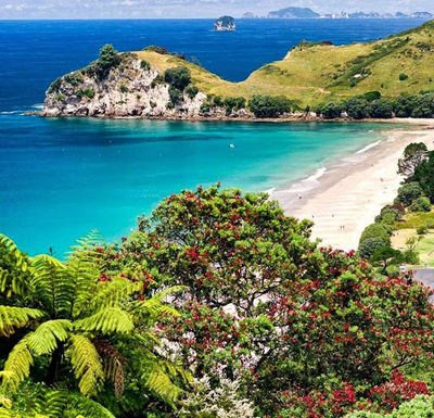 Hahei Beach