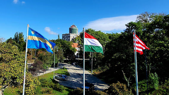 Maria Valeria Bridge