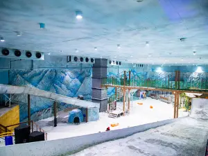 Snow World