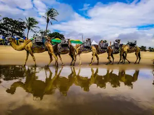 Dunas de Genipabu