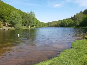 North Vosges Regional Natural Reserve
