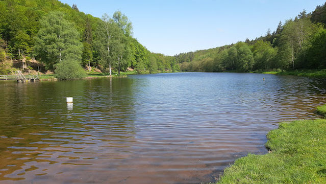 North Vosges Regional Natural Reserve