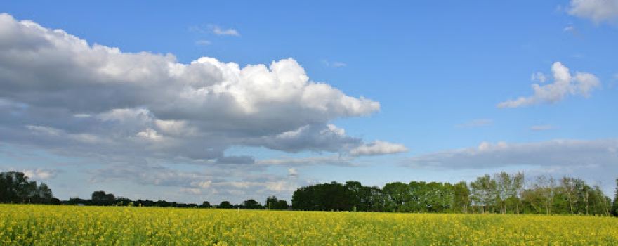 Camping 'Bij Ons'