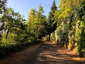 Vila Real Camping