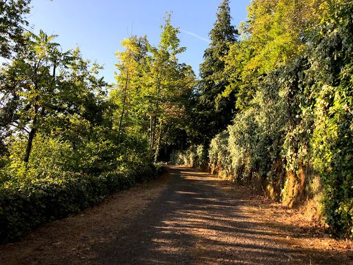 Vila Real Camping